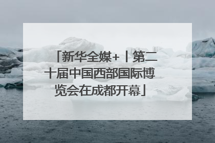 新华全媒+丨第二十届中国西部国际博览会在成都开幕