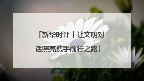新华时评丨让文明对话照亮携手前行之路