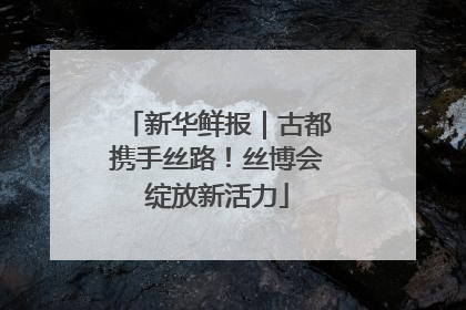 新华鲜报｜古都携手丝路！丝博会绽放新活力