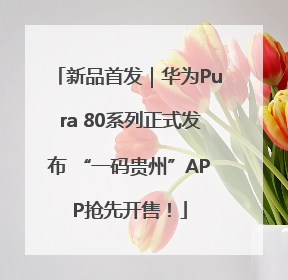 新品首发｜华为Pura 80系列正式发布 “一码贵州”APP抢先开售！