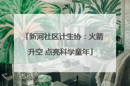 新河社区计生协：火箭升空 点亮科学童年