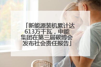 新能源装机累计达613万千瓦，申能集团在第三届碳博会发布社会责任报告