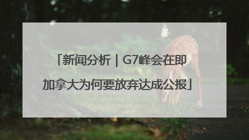 新闻分析｜G7峰会在即 加拿大为何要放弃达成公报