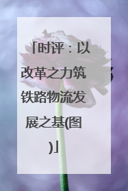 时评：以改革之力筑铁路物流发展之基(图)
