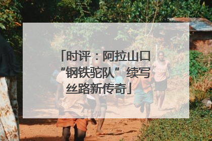 时评：阿拉山口“钢铁驼队”续写丝路新传奇