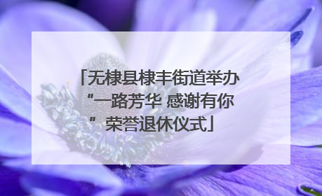 无棣县棣丰街道举办“一路芳华 感谢有你”荣誉退休仪式