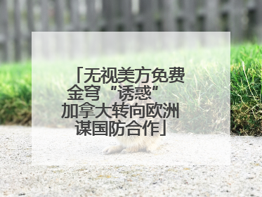 无视美方免费金穹“诱惑” 加拿大转向欧洲谋国防合作