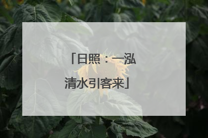 日照：一泓清水引客来