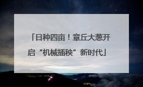 日种四亩！章丘大葱开启“机械插秧”新时代