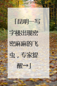 昆明一写字楼出现密密麻麻的飞虫，专家提醒→
