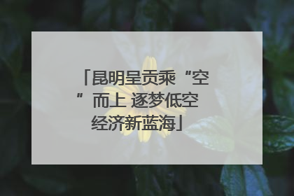 昆明呈贡乘“空”而上 逐梦低空经济新蓝海