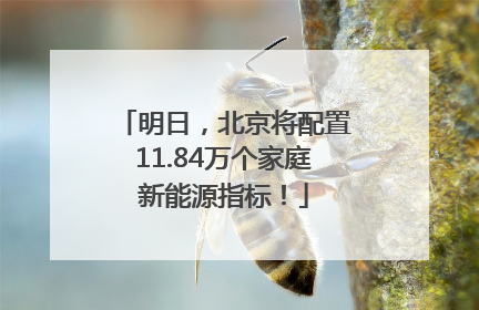 明日，北京将配置11.84万个家庭新能源指标！