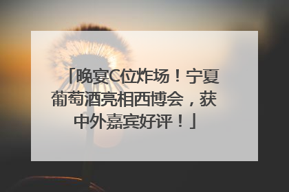 晚宴C位炸场！宁夏葡萄酒亮相西博会，获中外嘉宾好评！