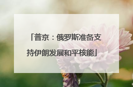 普京：俄罗斯准备支持伊朗发展和平核能