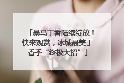 暴马丁香陆续绽放！快来观赏，冰城最美丁香季“终极大招”