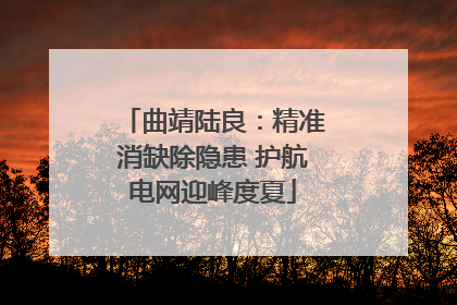 曲靖陆良：精准消缺除隐患 护航电网迎峰度夏