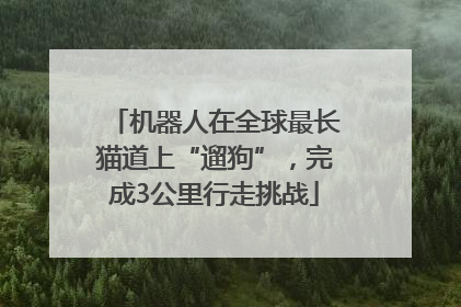 机器人在全球最长猫道上“遛狗”，完成3公里行走挑战
