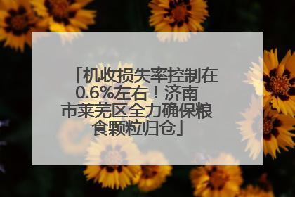 机收损失率控制在0.6%左右！济南市莱芜区全力确保粮食颗粒归仓