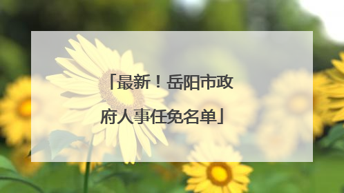 最新！岳阳市政府人事任免名单