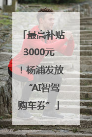 最高补贴3000元！杨浦发放“AI智驾购车券”