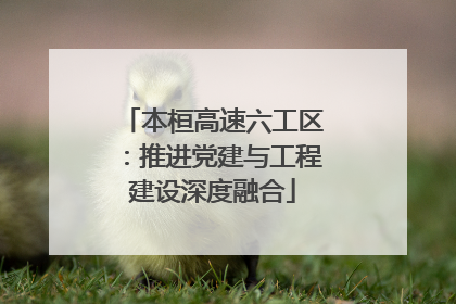 本桓高速六工区：推进党建与工程建设深度融合