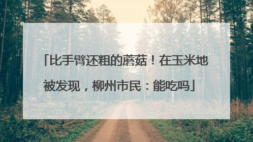 比手臂还粗的蘑菇！在玉米地被发现，柳州市民：能吃吗