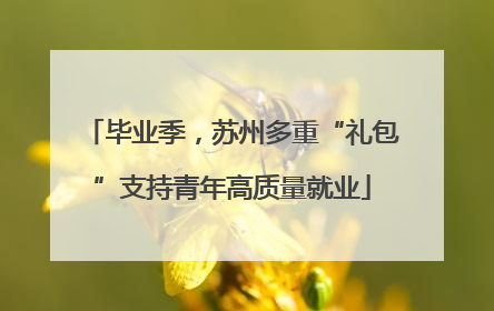 毕业季，苏州多重“礼包”支持青年高质量就业
