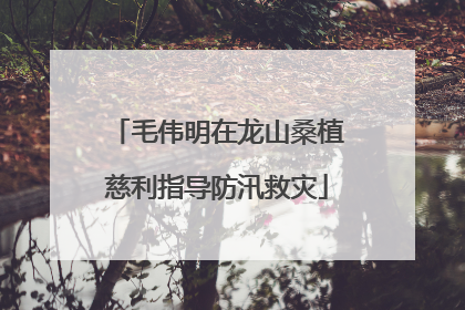 毛伟明在龙山桑植慈利指导防汛救灾
