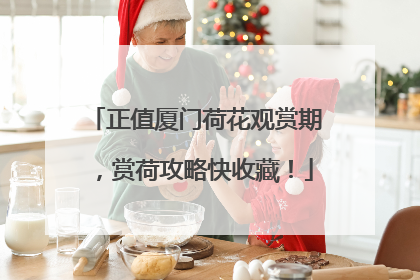 正值厦门荷花观赏期，赏荷攻略快收藏！