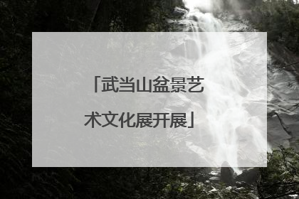 武当山盆景艺术文化展开展