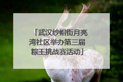 武汉纱帽街月亮湾社区举办第三届粽王挑战赛活动