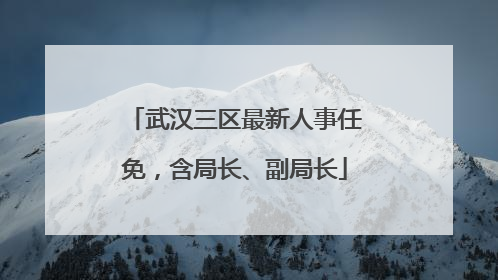 武汉三区最新人事任免，含局长、副局长
