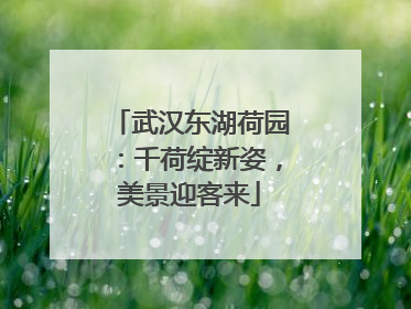 武汉东湖荷园：千荷绽新姿，美景迎客来