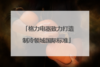 格力电器致力打造制冷领域国际标准