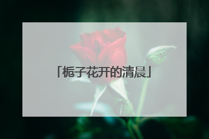 栀子花开的清晨
