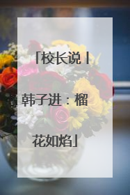 校长说丨韩子进：榴花如焰