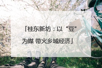 桂东新坊：以“豆”为媒 带火乡域经济