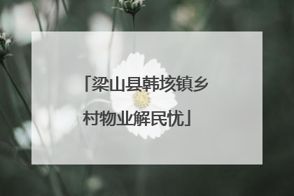 梁山县韩垓镇乡村物业解民忧