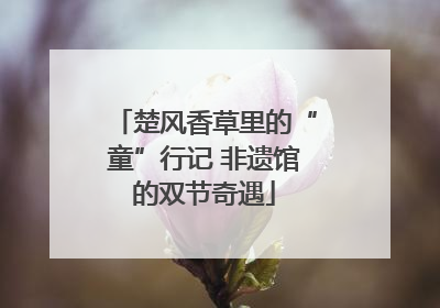 楚风香草里的“童”行记 非遗馆的双节奇遇