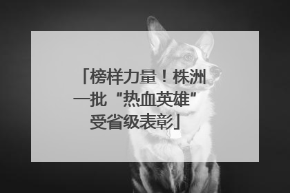 榜样力量！株洲一批“热血英雄”受省级表彰