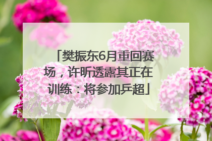 樊振东6月重回赛场，许昕透露其正在训练：将参加乒超