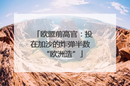 欧盟前高官：投在加沙的炸弹半数“欧洲造”