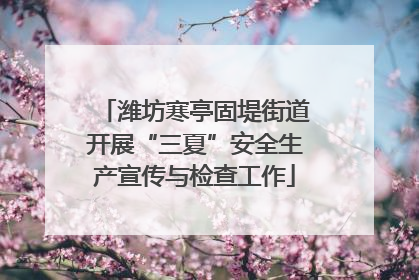 潍坊寒亭固堤街道开展“三夏”安全生产宣传与检查工作