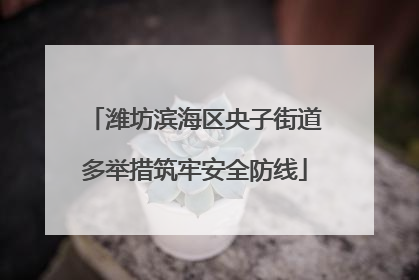 潍坊滨海区央子街道多举措筑牢安全防线