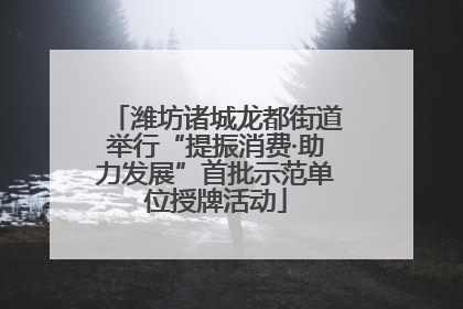 潍坊诸城龙都街道举行“提振消费·助力发展”首批示范单位授牌活动