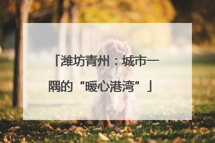 潍坊青州：城市一隅的“暖心港湾”