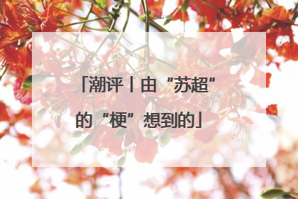 潮评丨由“苏超”的“梗”想到的