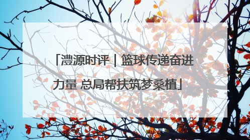 澧源时评｜篮球传递奋进力量 总局帮扶筑梦桑植