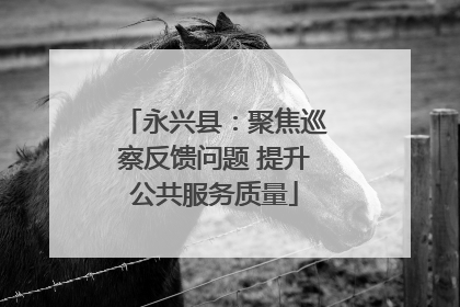 永兴县：聚焦巡察反馈问题 提升公共服务质量
