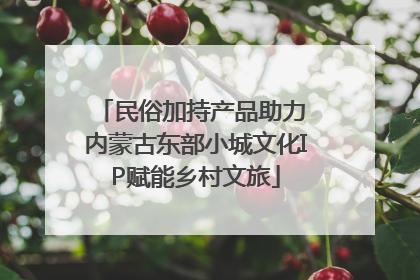 民俗加持产品助力 内蒙古东部小城文化IP赋能乡村文旅